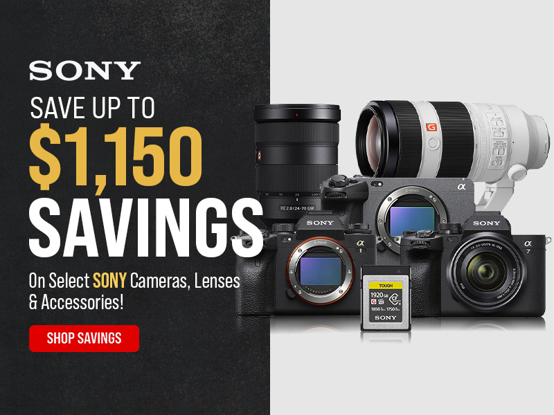 Sony Black Friday Savings