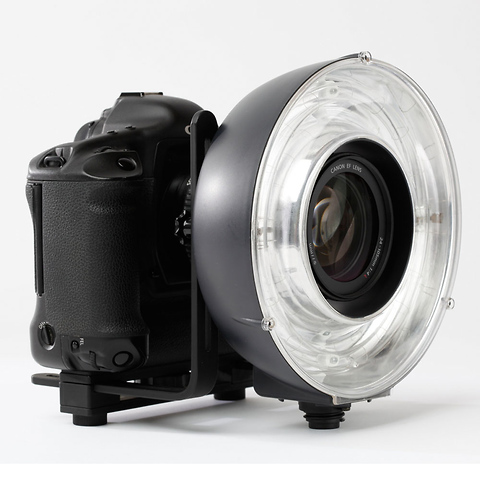 RQ Ringflash Eco with Removable Diffuser for Ranger Quadra Image 2