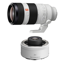 FE 100-400mm f/4.5-5.6 GM OSS Lens with FE 2.0x Teleconverter Image 0
