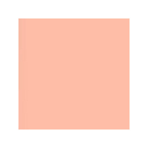 English Rose Gel Filter (21 x 24 In. Sheet) Image 0