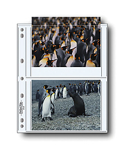 57-4P 5x7in. Photo Pages (100 pack) Image 0