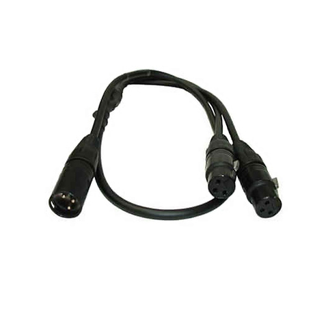 3-Pin XLR Male to Dual 3-Pin XLR Females Cable (3 ft.) Image 0