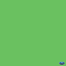 10 x 12' Solid Muslin Background (Chroma Green) Image 0