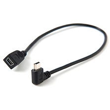 12 Inch (30.48 cm) TetherPro Mini-B USB 2.0 Right Angle Cable (Black) Image 0