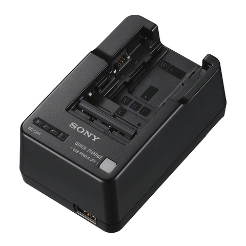 BC-QM1 InfoLithium Battery Charger Image 0