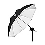 Shallow White Umbrella (Small, 33 In.)