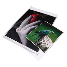11x14 In. Clear Bags (Package of 100) Image 0