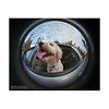 5.8mm f/3.5 Circular Fisheye Lens for Fujifilm X Thumbnail 4