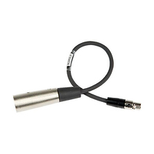 TA3 to XLR Cable for SR Receiver (12 In.) Image 0