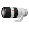 FE 70-200mm f/2.8 GM OSS Lens with FE 2.0x Teleconverter Thumbnail 4