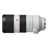 FE 70-200mm f/2.8 GM OSS Lens with FE 1.4x Teleconverter Thumbnail 2