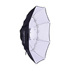 Foldable Beauty Dish with S-Type Fitting (40 In.) Thumbnail 0