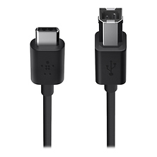 USB 2.0 Type-C to USB Type-B Charge Cable (6 ft. Black) Image 0