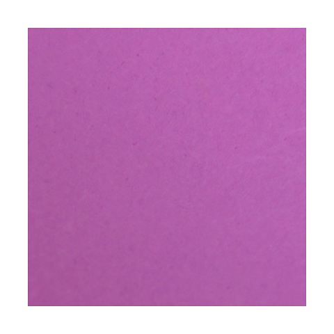 Widetone Seamless Background Paper (#91 Plum, 53 In. x 36 ft.) Image 0