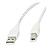 Type A Male To Type B Male USB 2.0 Cable (10 Ft. Long)