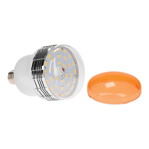 Basics LED 2-Light Umbrella Kit Image 4