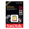 256GB Extreme UHS-I SDXC Memory Card Thumbnail 1