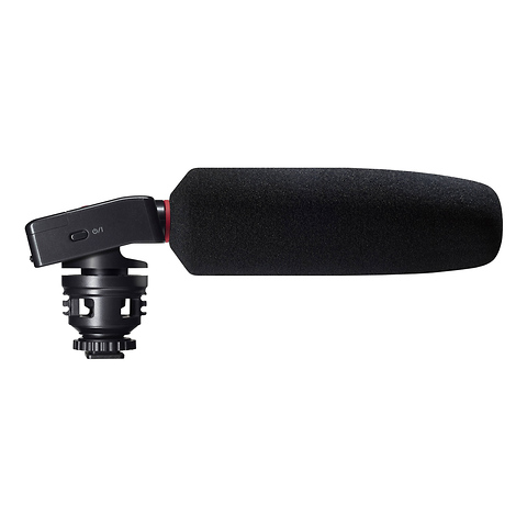 DR-10SG Camera-Mountable Audio Recorder with Shotgun Microphone Image 2