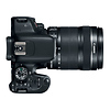 EOS Rebel T7i Digital SLR Camera with 18-135mm Lens Thumbnail 7