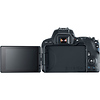 EOS Rebel SL2 Digital SLR with EF-S 18-55mm f/4-5.6 IS STM Lens (Black) Thumbnail 6
