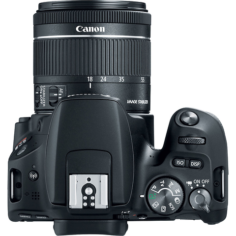 EOS Rebel SL2 Digital SLR with EF-S 18-55mm f/4-5.6 IS STM Lens (Black) Image 7