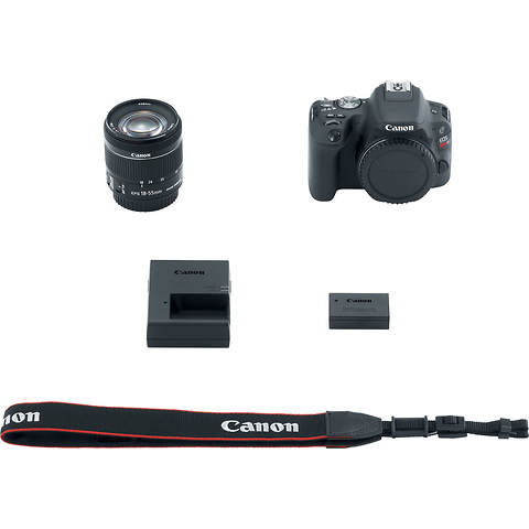 EOS Rebel SL2 Digital SLR with EF-S 18-55mm f/4-5.6 IS STM Lens (Black) Image 10
