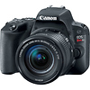 EOS Rebel SL2 Digital SLR with EF-S 18-55mm f/4-5.6 IS STM Lens (Black) Thumbnail 1