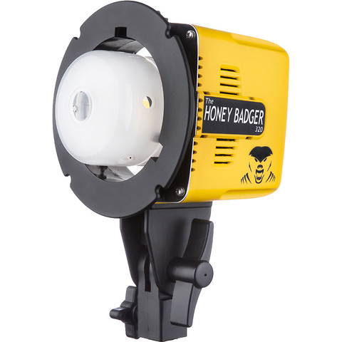 Honey Badger 320Ws 2-Light Kit Image 1