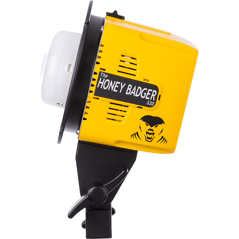 Honey Badger 320Ws Compact Flash Head Image 2