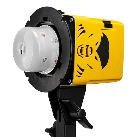 Badger Unleashed 250Ws Compact Flash Head Image 0