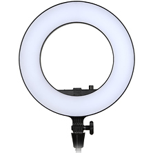 LR180 Daylight Ring Light (Black) Image 0