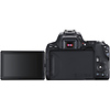 EOS Rebel SL3 Digital SLR with EF-S 18-55mm f/4-5.6 IS STM Lens (Black) Thumbnail 5