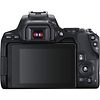 EOS Rebel SL3 Digital SLR with EF-S 18-55mm f/4-5.6 IS STM Lens (Black) Thumbnail 6