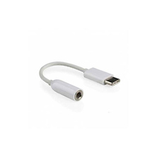 USB-C to 3.5mm Stereo Audio Adapter Image 0