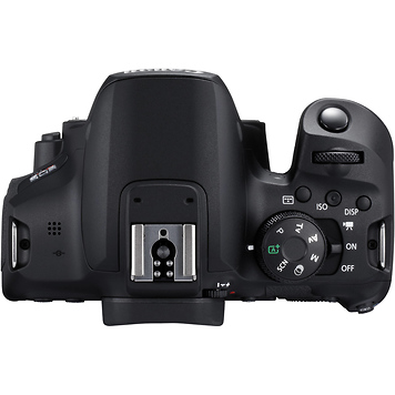 EOS Rebel T8i Digital SLR Camera Body