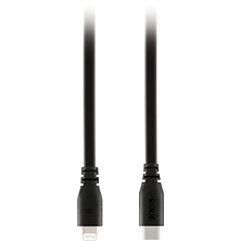 59 in. Lightning Accessory Cable Image 0