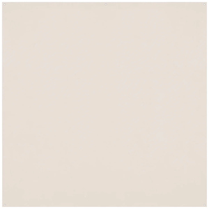 8 x 8 ft. Wrinkle-Resistant Backdrop (Buttermilk White)
