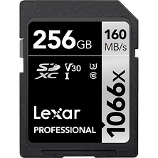 256GB Professional 1066x UHS-I SDXC Memory Card (SILVER Series) Image 0
