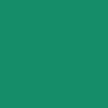 21 x 24 in. E-Colour #124 Dark Green (Sheet) Image 0