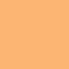 21 x 24 in. E-Colour #204 Full CT Orange (Sheet) Image 0