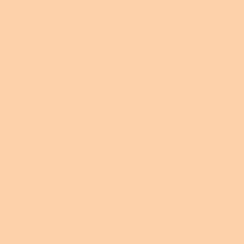 21 x 24 in. E-Colour #205 1/2 CT Orange (Sheet) Image 0