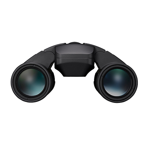 10x25 S Stabilized Binocular Image 1