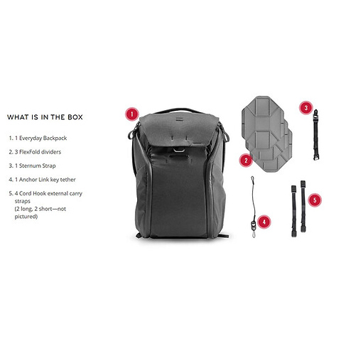 Everyday Backpack v2 (Black, 30L) Image 4