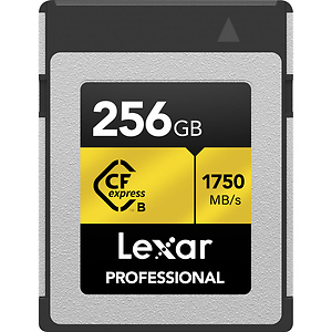 256GB Professional GOLD Series CFexpress Type B Memory Card