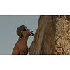 Bite Mount Thumbnail 4