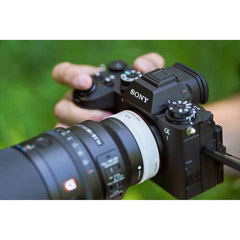 FE 100mm f/2.8 Macro GM Lens Image 7