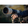 FE 100-400mm f/4.5 GM OSS Lens Thumbnail 7