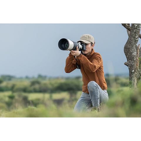 FE 100-400mm f/4.5 GM OSS Lens Image 8