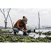 FE 100-400mm f/4.5 GM OSS Lens Thumbnail 9