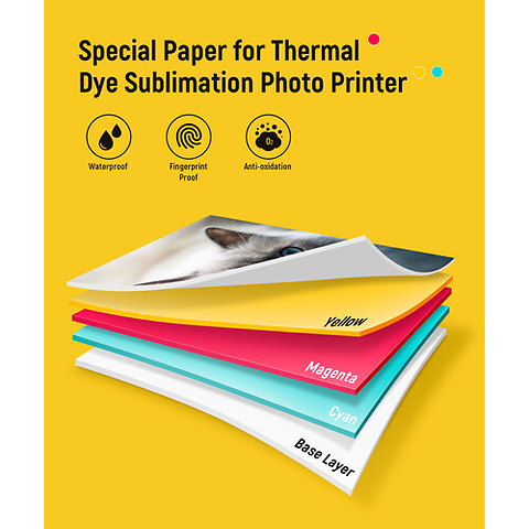 Amber Photo Paper & 2 Ink Cartridge Refill (4 x 6 in., 80 Sheets) Image 6